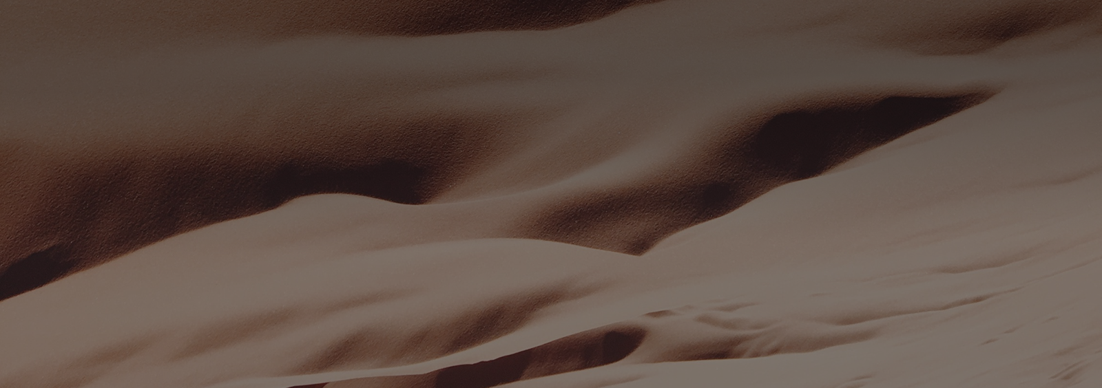 Abstract waves of soft brown textures.